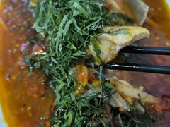 -老字号怡玺·藿香雅鱼(20年雅安店)