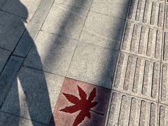 -香山公园