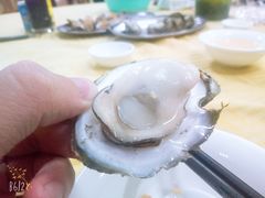 -土蚝·高压锅生蚝(百姓美食街店)