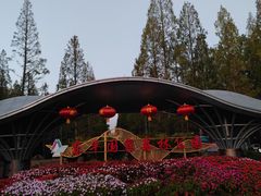 -东平国家森林公园