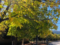 -长春世界雕塑园冰雪艺术天地