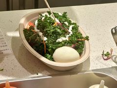 -油梨树 AVOCADO TREE(亮马桥店)