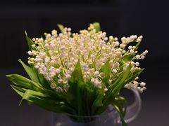 -靳晖金百合花艺GOLDENLILY(南院门店)