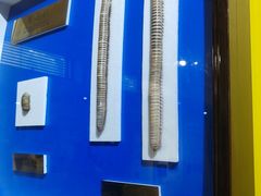 -上海昆虫博物馆