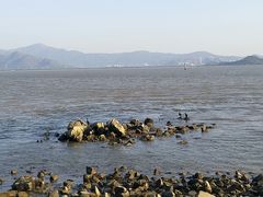 -深圳湾公园(南山区)