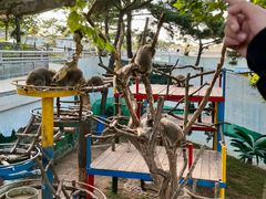 -西霞口神雕山野生动物世界