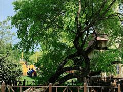 -东平国家森林公园