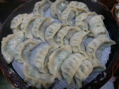 鲜肉韭菜蒸饺-海汇源老烧麦店(东大街总店)