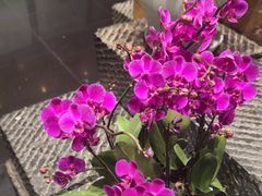 -黔蘑菇四季餐厅(观山湖店)