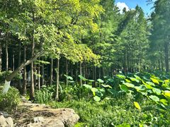 -云龙湖旅游景区