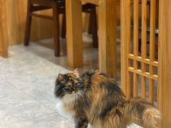 -雪月花(长江北路店)