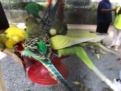 -萌宠亲子动物乐园(槐房万达店)