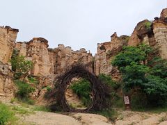-元谋土林景区(物茂土林)