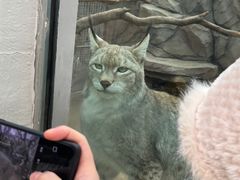 -青藏高原野生动物园