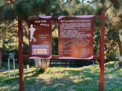-云岗森林公园