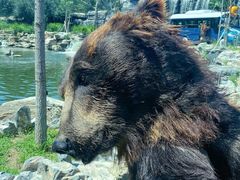 -北京野生动物园