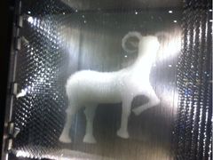 iphone_upload_pic-新兴·金羊座·粤菜点心(乐峰店)