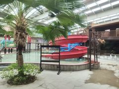 -南宫五洲植物乐园