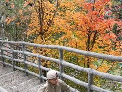 -明堂山风景区
