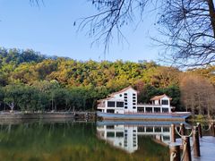 -深圳仙湖植物园