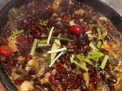 -老板恋上鱼(恒隆广场店)