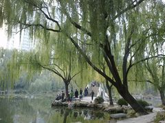 -紫竹院公园冰场