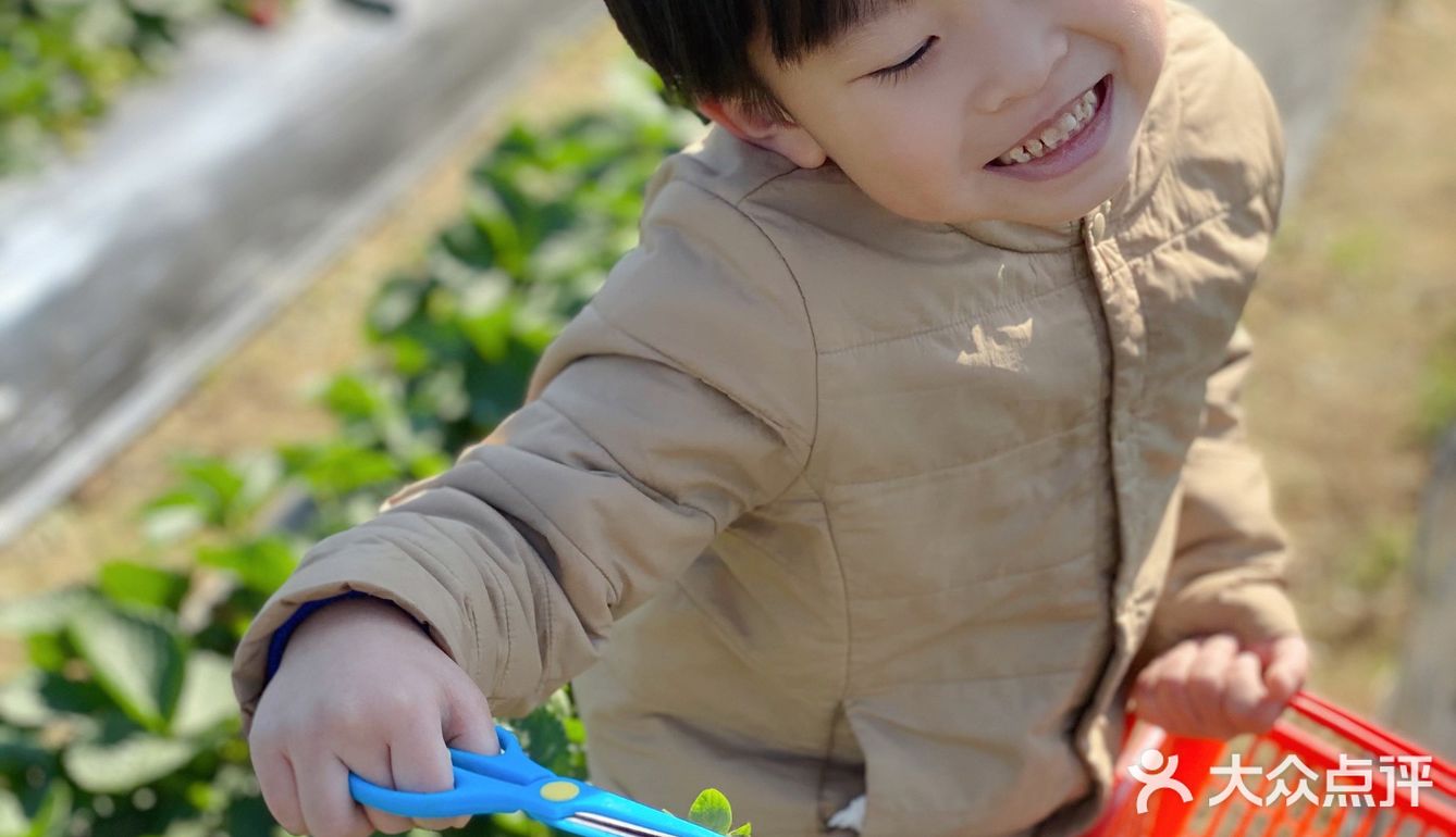 草莓季🍓遛娃圣地🍓
