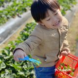 草莓季🍓遛娃圣地🍓