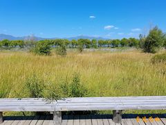 -野鸭湖国家湿地公园