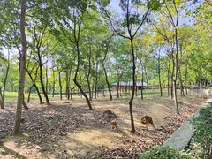 -合肥野生动物园