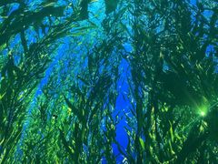 -海合安天津极地海洋公园