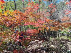 -大连天门山国家森林公园
