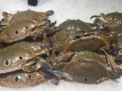 -加餐海鲜自助(宝龙一城店)