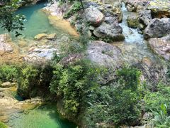 -南海湾森林生态园