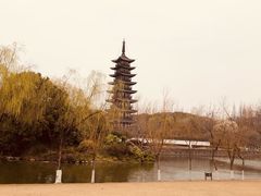 -上海方塔园