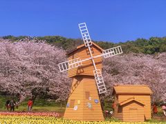 -苏州上方山国家森林公园