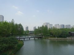-尚贤河湿地