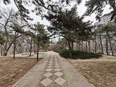 -元大都城垣遗址公园