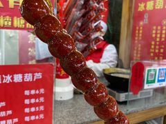 -和禄德冰糖葫芦