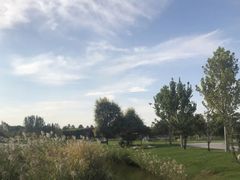 -安德鲁户外烧烤帐篷营地(马泉营店)