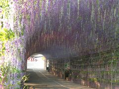 -山乡农家院(海淀区西北旺店)