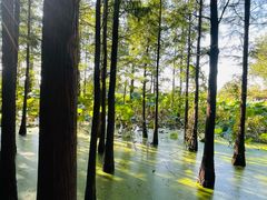 -云龙湖旅游景区