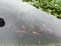 -信阳灵山风景区
