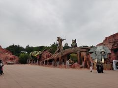 -太阳部落