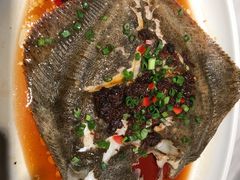 豉汁蒸多宝鱼-大树餐厅(益田假日店)