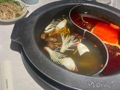 -川西坝子(苏州城市生活广场店)
