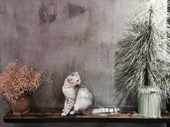 -MIKAKU(万达广场上海宝山店)