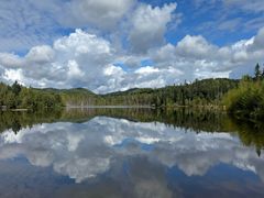 -五营红松林海景区