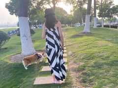 -合肥滨湖国家森林公园