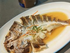-王记姚家味·地道苏帮菜(凤凰街店)